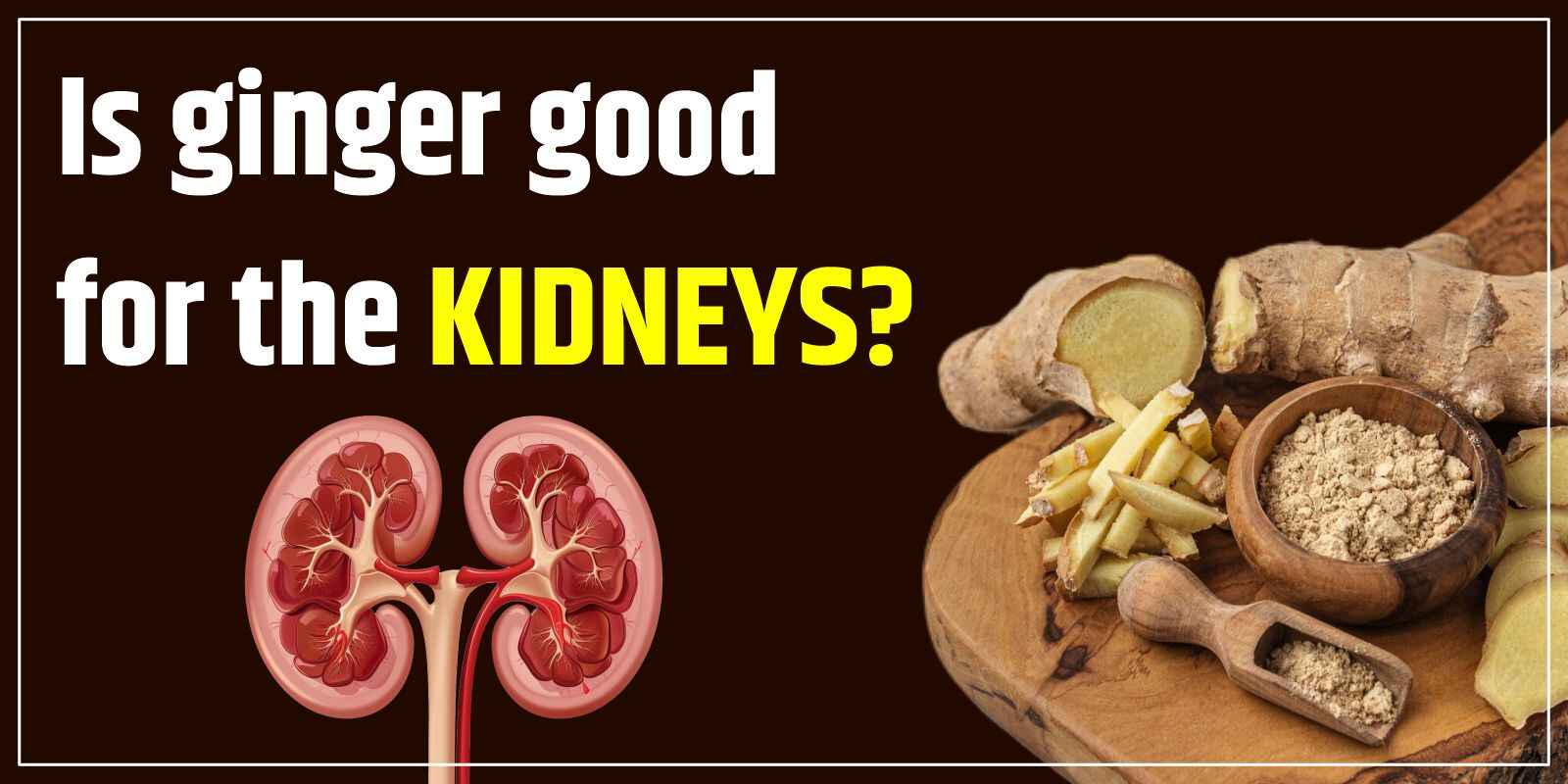 Is ginger good for the kidneys?